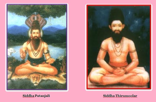 Siddha Patanjali & Thirumoolar