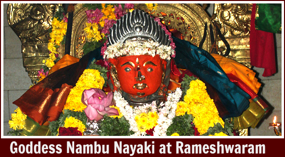 Goddess Nambu Nayaki (Rameshwaram)